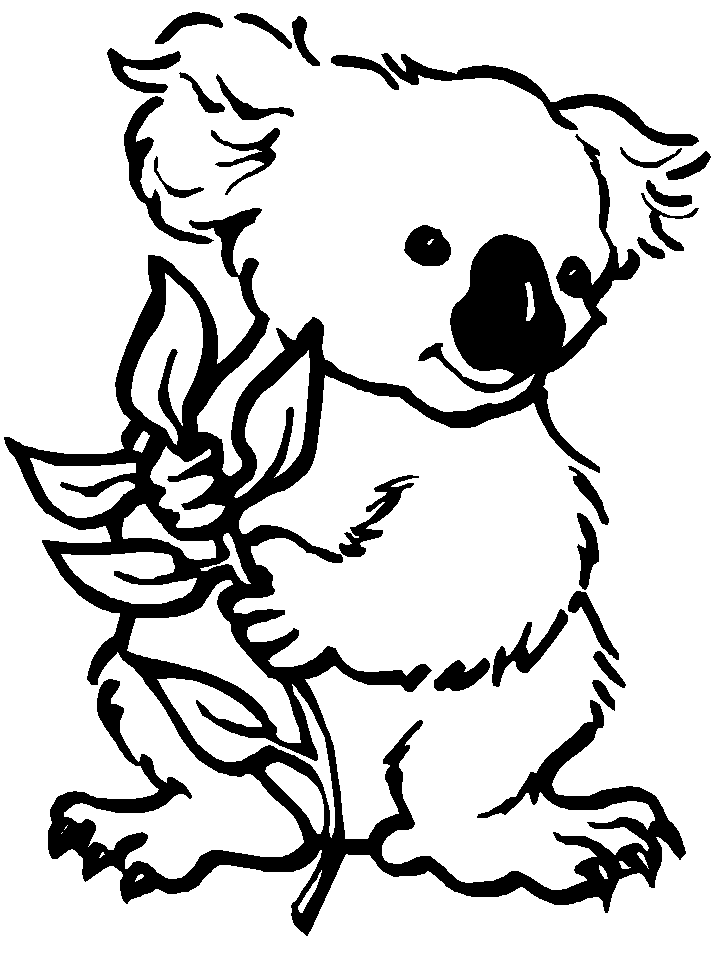 Plansa de colorat cu Koala 7 25